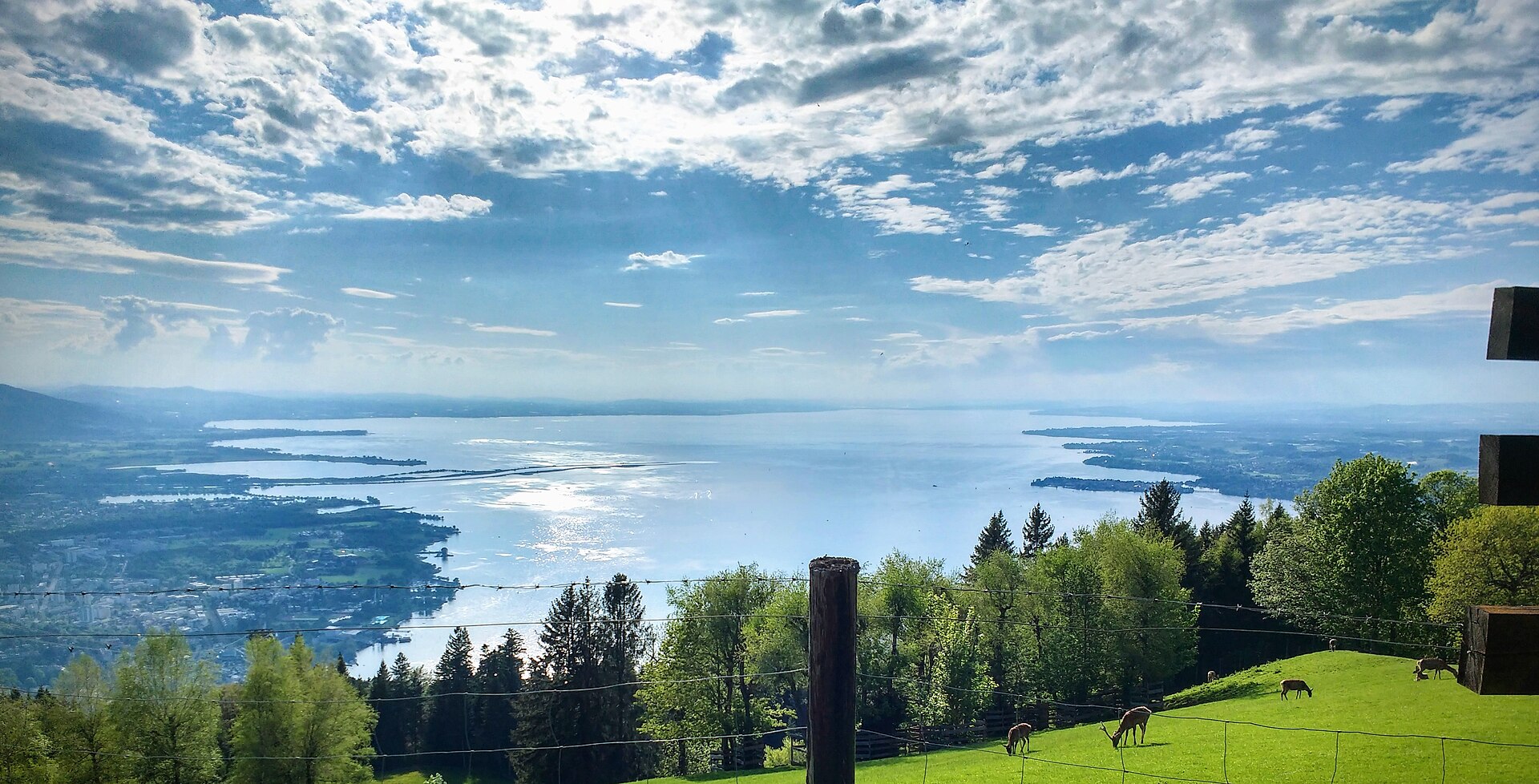Blick über den Bodensee